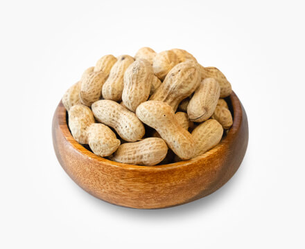 千葉県産 千葉半立種